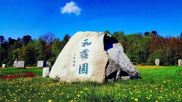 投篮得高分