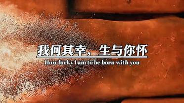 我的世界Minecraft